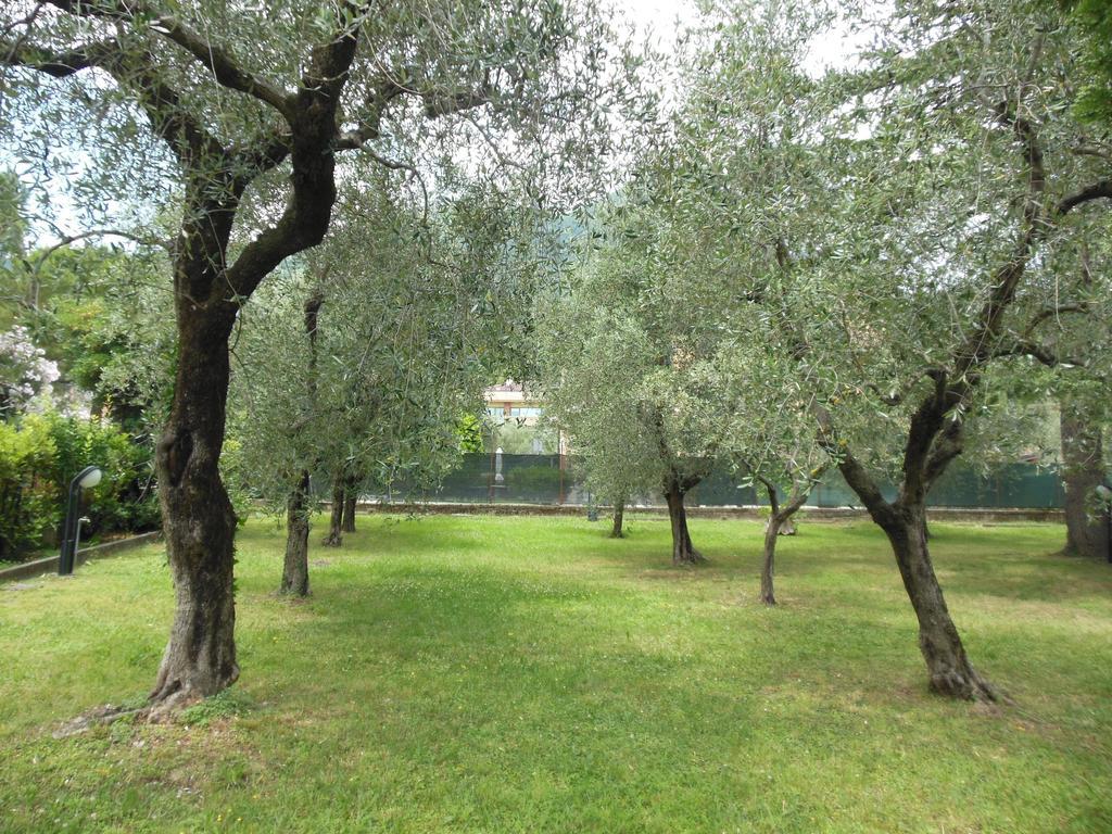 Residenza Hotel Garden Toscolano Maderno Eksteriør bilde